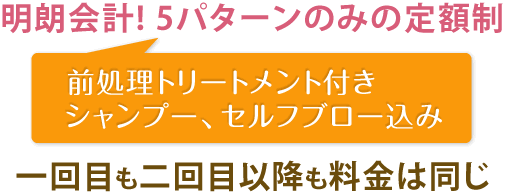 明朗会計!三パターンのみの定額制