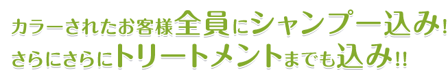 安く・速く・美しくプロの美容師がご希望のカラーに染め上げます。